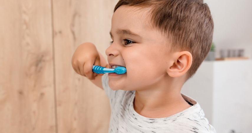 hygiene bucco dentaire dr soto miramas Hygiène bucco-dentaire Cabinet d’orthodontie du Dr Matthieu Soto à Miramas